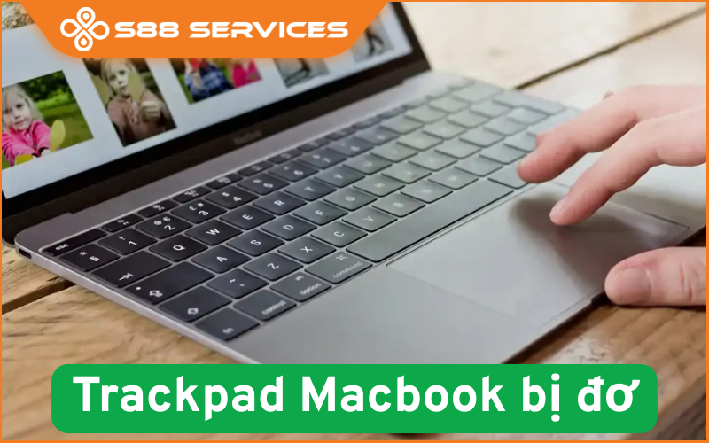 Trackpad Macbook bị đơ? Đừng vội thay mới nếu chưa đọc bài này