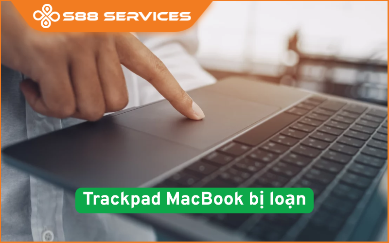 Trackpad MacBook bị loạn? Đừng vội mang đi sửa trước khi đọc bài này