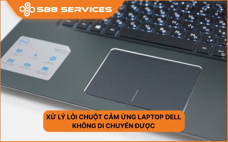 Vì sao chuột cảm ứng laptop dell không di chuyển được? Cách xử lý nhanh nhất tại nhà