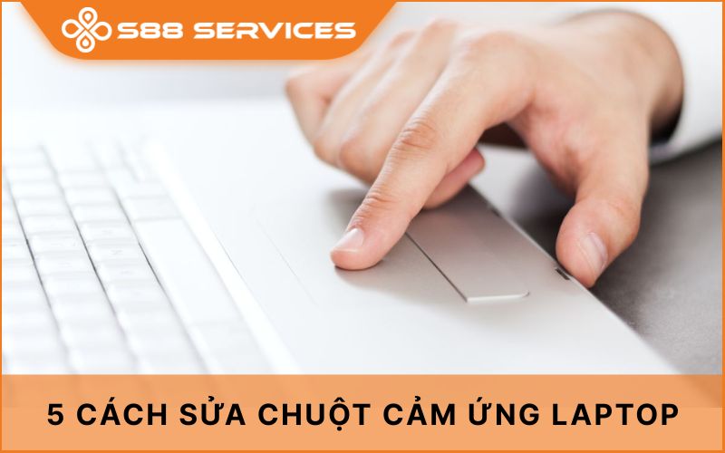 5 cách sửa chuột cảm ứng laptop nhanh chóng và hiệu quả nhất 2025